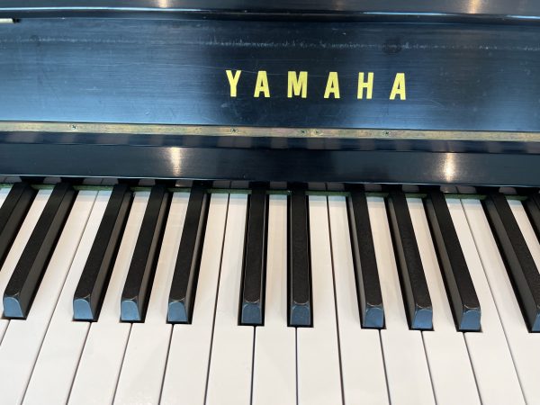 Yamaha Studio